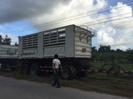 Hino380 แม่-ลูกปี54ติดต่อ080-1405528