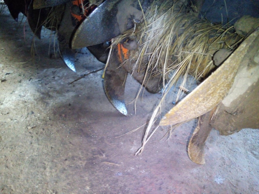 โรตารี่จอบหมุนRx163Dตราช้าง