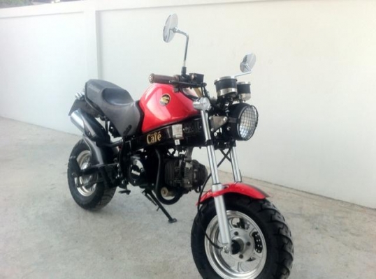 Stallion Solo 125 cc Mini Cafe ปี58