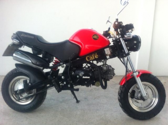 Stallion Solo 125 cc Mini Cafe ปี58 Stallion Solo 125 cc Mini Cafe ปี58