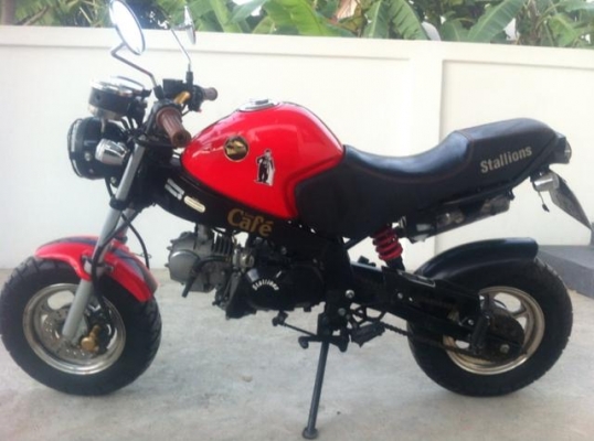 Stallion Solo 125 cc Mini Cafe ปี58 Stallion Solo 125 cc Mini Cafe ปี58