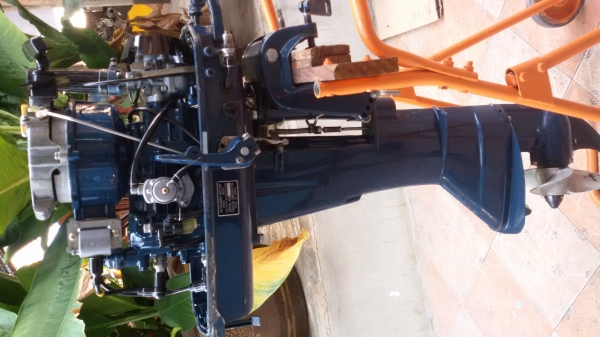 จากญี่ปุ่น