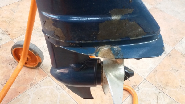 จากญี่ปุ่น