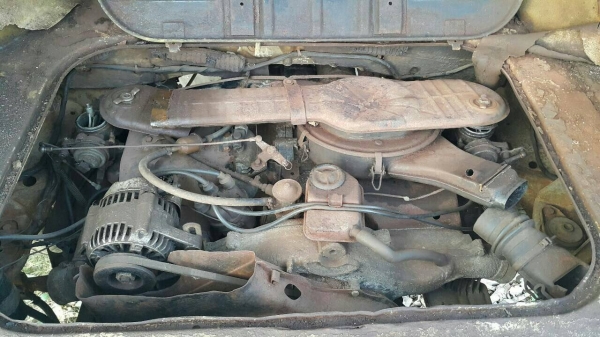 VWปี1979 VWปี1979