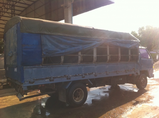 Isuzu NPR  เครื่อง 4BD-1**115 แรงม้า