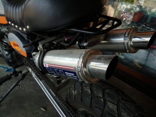 กอริลล่า ราคาถูก กอริลล่า ราคาถูก