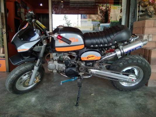 กอริลล่า ราคาถูก