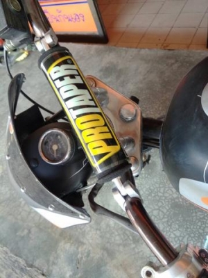 กอริลล่า ราคาถูก กอริลล่า ราคาถูก