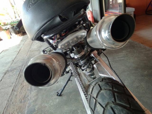 กอริลล่า ราคาถูก กอริลล่า ราคาถูก