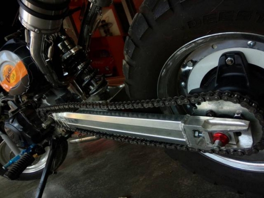 กอริลล่า ราคาถูก กอริลล่า ราคาถูก