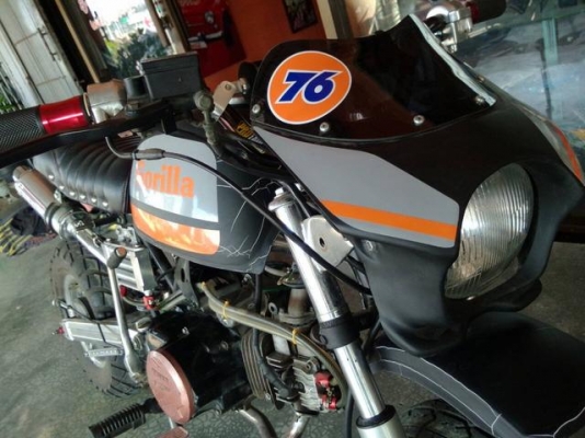 กอริลล่า ราคาถูก กอริลล่า ราคาถูก