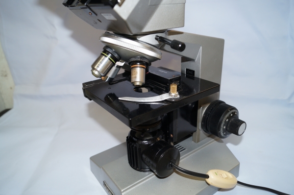 กล้องจุลทรรศน์ กล้องจุลทรรศน์