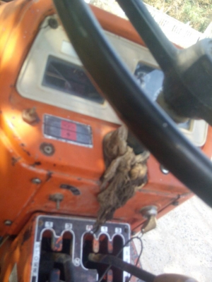 45000บาทลดสุดๆงดต่อรอง คูโบต้า2เพลาพร้อมใช้  ไม่มีหาง