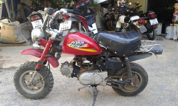 ลิงจีน ลิงจีน