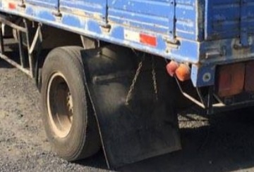 ISUZU NPR 115 HP 4BD1 ปี 34 รถบรรทุกหกล้อ 115 ห้างแท้ กระบะเหล็กคาร์โก้ความยาว 4.30 เมตรสภาพดีสวยพร้อมบรรทุกหนักได้เลยครับ ภายในเก๋งคอนโซลครบพร้อม พวงมาลัยธรรมดา เกียร์สั้น ช่วงล่างคัชซีสวยไม่มีบวม เฟืองท้ายใหญ่ติด F ครบแล้ว ยาง 8.25 ขอบ 16 สภาพดีพร้อมใช้