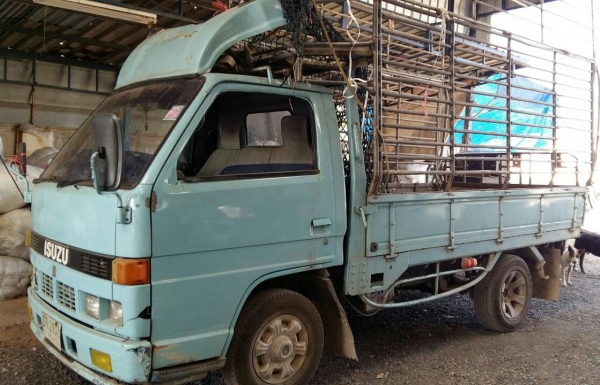 ขายสีล้อ (ป้ายเล็กไม่ติดเวลา) อีซูชุ NKR88 pawer ช่วงสั้น สภาพดีพร้อมใช้ ทะเบียนพร้อมโอน ราคา165,000บ เบาๆ ครับ