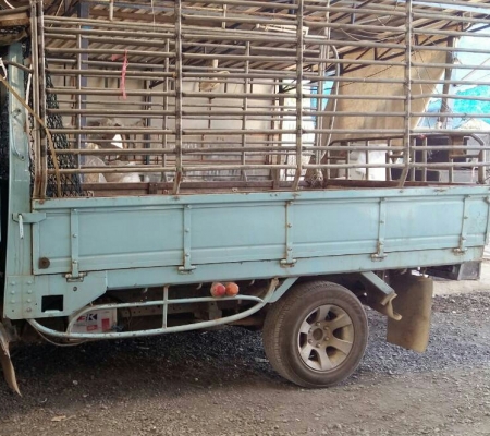 ขายสีล้อ (ป้ายเล็กไม่ติดเวลา) อีซูชุ NKR88 pawer ช่วงสั้น สภาพดีพร้อมใช้ ทะเบียนพร้อมโอน ราคา165,000บ เบาๆ ครับ