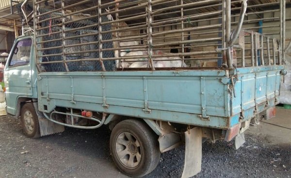 ขายสีล้อ (ป้ายเล็กไม่ติดเวลา) อีซูชุ NKR88 pawer ช่วงสั้น สภาพดีพร้อมใช้ ทะเบียนพร้อมโอน ราคา165,000บ เบาๆ ครับ