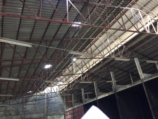 ขาย. โรงงาน หลังคาโครงเห็ลก กระเบือง ระบบไฟทั้งหมด อุปกรที่เป็นเหล็กไห้หมด เนื้อที. 40x60. เมตร ราคา. ขาย. 350000 ไม่รวมค้ารื้อถอน ขาย. โรงงาน หลังคาโครงเห็ลก กระเบือง ระบบไฟทั้งหมด อุปกรที่เป็นเหล็กไห้หมด เนื้อที. 40x60. เมตร ราคา. ขาย. 350000 ไม่รวมค้ารื้อถอน