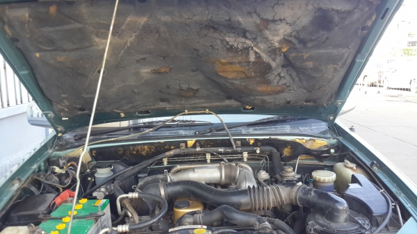 ดรากอน อาย สีเพิ่งทำใหม่สวย