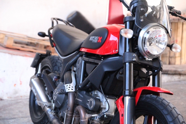 Ducati scrambler icon Year 2015