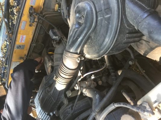 ขายไทเกอร์ 25000 ขายไทเกอร์ 25000