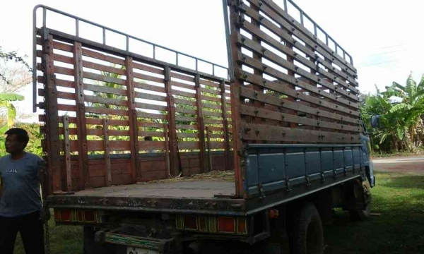 อีชุชุ115ห้างแท้