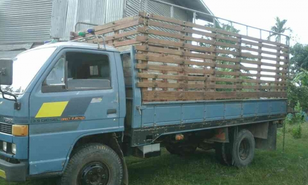 อีชุชุ115ห้างแท้