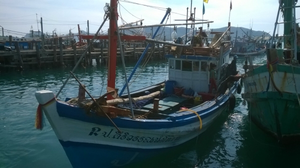 เรือประมง ไดหมึก 7 วากว่า ( 15 ม.)