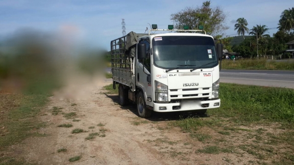 รถอีซูซุ 4 ล้อ รั้ว ( ไม่ดั้ม )  NLR 130 แรงม้า. ปี 51.   ( รถวิ่ง 2xx,xxx กม. )    สนใจติดต่อ  081 - 6079515