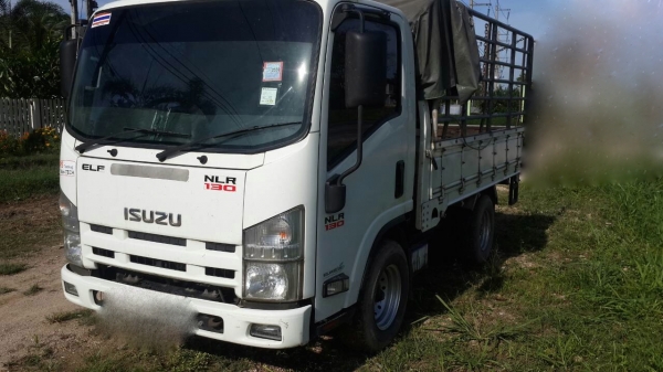 รถอีซูซุ 4 ล้อ รั้ว ( ไม่ดั้ม )  NLR 130 แรงม้า. ปี 51.   ( รถวิ่ง 2xx,xxx กม. )    สนใจติดต่อ  081 - 6079515
