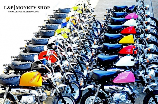 จัดโปรโมชั่น ลดราคาสุดแบบ มโหฬษร เหลือ 22999 บาท มังกี้ กอลิล่า เดิม ราคาสุดๆ เริ่มต้นเพียง 2XXXX  แต่งๆๆ ลดราคาทุกรุ่นและมีของแถมอีกมากมาย  ด่วนๆๆ ลดๆๆ   เริ่มต้นราคา ที