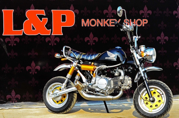 จัดโปรโมชั่น ลดราคาสุดแบบ มโหฬษร เหลือ 22999 บาทลดราคามังกี้ กอลิล่า มีให้เลือกหลาก หลายแบบ ไม่ซ้ำ ขับสนุก ขับมัน ทนทาน  เริ่มต้น2XXXX