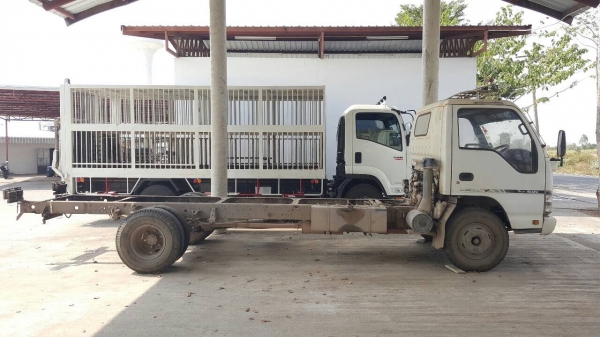 ขาย หัวคัสซี 6 ล้อ ISUZU NQR150 ปี 50 ช่วงยาว 5.50 เมตร คัสซีสวยตลอดเส้น เครื่องดี ทะเบียนพร้อมครับ