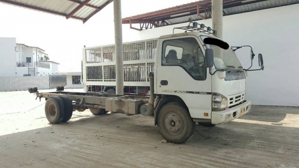 ขาย หัวคัสซี 6 ล้อ ISUZU NQR150 ปี 50 ช่วงยาว 5.50 เมตร คัสซีสวยตลอดเส้น เครื่องดี ทะเบียนพร้อมครับ