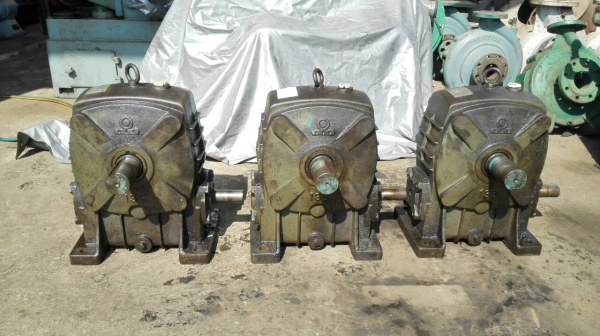 Sell>> วอร์มเกียร์ทด MAKISHINKO Made in Japan เพลาออก 2 ทาง เบอร์ 135 ทด 1:60 สวย สด นอก แน่นทุกตัวมาเทสได้เลย. Sell>> วอร์มเกียร์ทด MAKISHINKO Made in Japan เพลาออก 2 ทาง เบอร์ 135 ทด 1:60 สวย สด นอก แน่นทุกตัวมาเทสได้เลย.