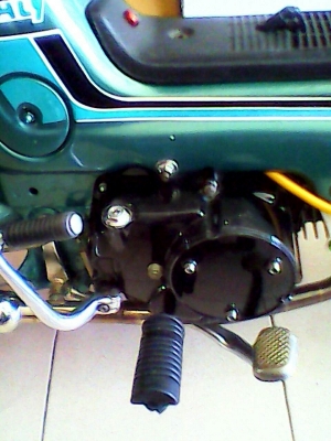 ขายฮอนด้าชาลี