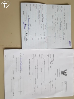 TFR คนแก่ใช้มือเดียว เดิมไม่มีผุเลยไม่มีชนหนัก