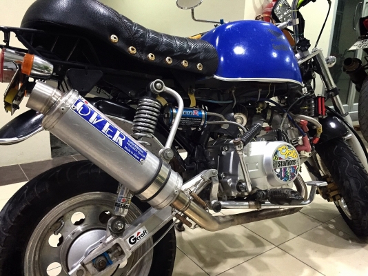 ขายกอลิล่าสตาร์เลี่ยน 125cc