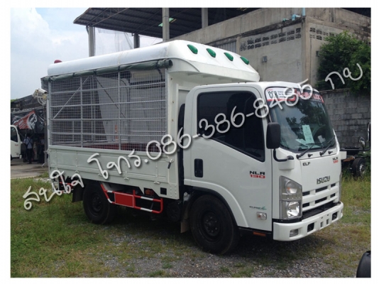 รถบรรทุก NLR 130 4ล้อ ไม่ติดเวลา ราคาเริ่มต้นที่ 897,000 บาท