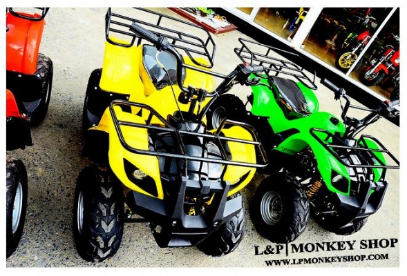 ราคาถูก 29000 บาท แต่มีสิ่งพิเศษมากมาย ATV MINI รุ่นใหม่ล่าสุด 110cc มีสวิทไฟบอกเกียร์ สุดพิเศษ โปรโมชั่นนี้พิเศษจริงๆ กับ ปี2559