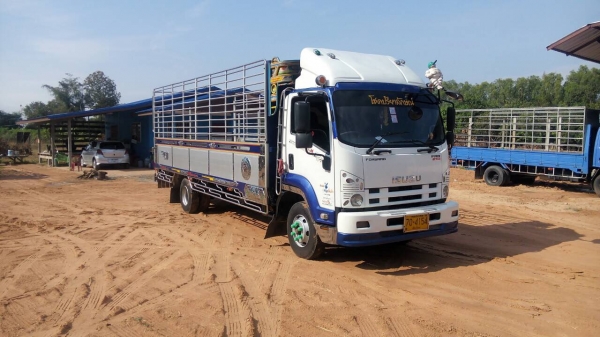 ISUZU FRR210แรงม้า ยาว6.50 รถสวยเดิมมากยางเรเดียน ISUZU FRR210แรงม้า ยาว6.50 รถสวยเดิมมากยางเรเดียน