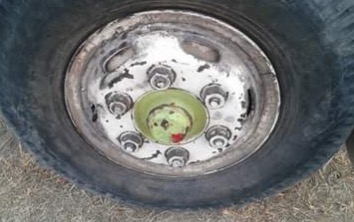 ISUZU KS 22 - 120 HP 4HF1 หกล้อดั๊มพ์ กระบะดั๊มพ์เหล็ก 4 ตันความยาว 4.30 เมตรสภาพดีไม่ผุไม่บุบพร้อมบรรทุกได้เลย เครื่องยนต์ 120 แรงวางใหม่เครื่องแน่นแรงดี ภายในเก๋งคอนโซลครบ ช่วงล่างใหญ่ติด F หน้าหลังครบ ยาง 8.25 ขอบ 16 สภาพดีประมาณ 60\% พร้อมใช้งาน เอกสาร