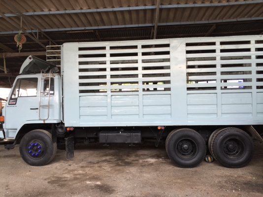 อีซุซุล็อคกี้นางฟ้า195