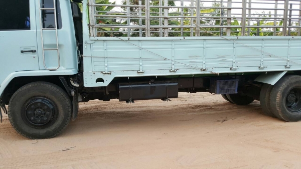 6ล้อISUZU ROCKY นางฟ้าแท้ 195 แรง ช่วงยาว 6.5 เมตร ตัวแท้จากโรงงาน ISUZU เครื่องดี แชชซีสวย จัดแนนท์ได้ เอกสารพร้อมโอน 0857698049 0887115178 6ล้อISUZU ROCKY นางฟ้าแท้ 195 แรง ช่วงยาว 6.5 เมตร ตัวแท้จากโรงงาน ISUZU เครื่องดี แชชซีสวย จัดแนนท์ได้ เอกสารพร้อมโอน 0857698049 0887115178