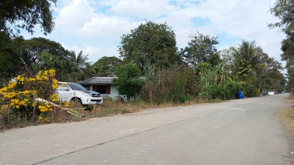 ขายที่ดิน 106 ไร่ ในซอยวัดลาดปลาดุก นนทบุรี