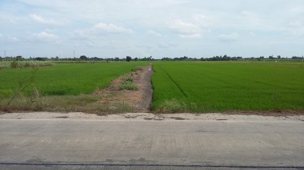 ขายที่ดิน 106 ไร่ ในซอยวัดลาดปลาดุก นนทบุรี