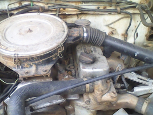 ขายบิกเอ็มดั้ม