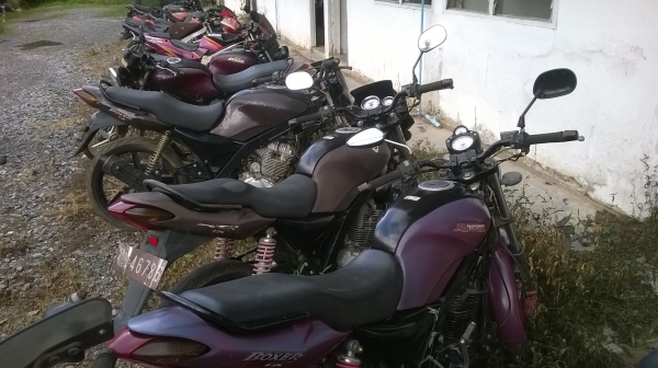 Tiger Victor Gramma RGV Tiger Victor Gramma RGV