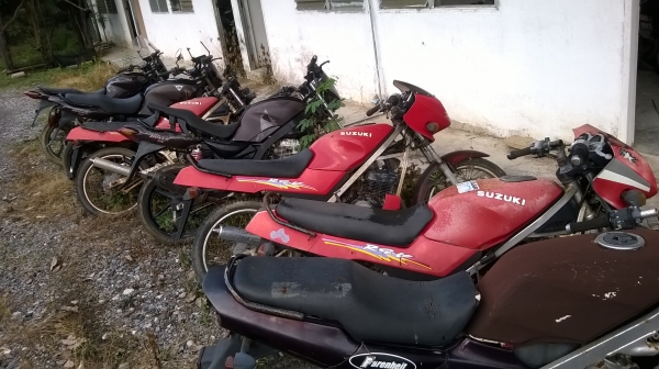 Tiger Victor Gramma RGV Tiger Victor Gramma RGV